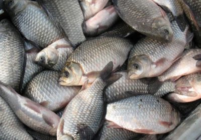 new-19113-2012-02-23