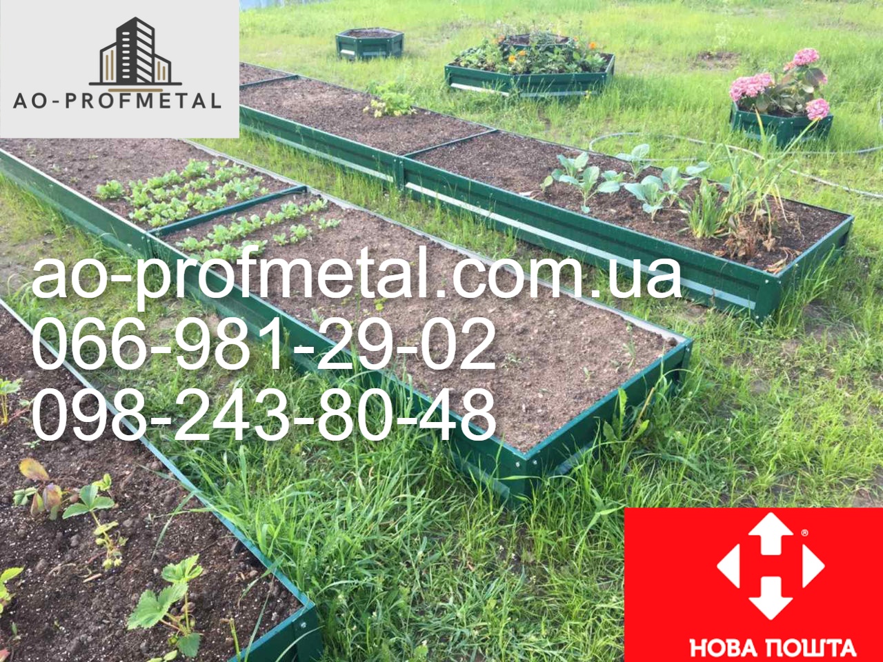 Грядки металеві зеленого кольору.
