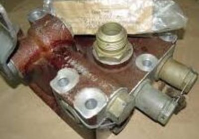 imgonline-com-ua-resize-s1azggor4kqkb0v