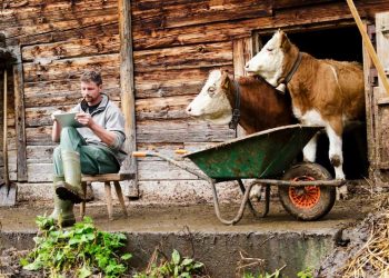 Сільськогосподарський бізнес: актуальні напрямки, специфіка й переваги
