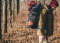 ТОП-5 особливостей туристичних рюкзаків, які стають критично важливими на довгих маршрутах і підйомах