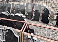 Як вибрати якісний пам’ятник на могилу та не переплатити