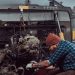 Відновлення коробок передач DSG: роль планетарних механізмів