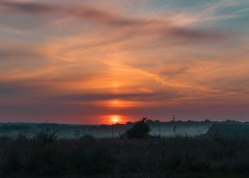40 привітань жінці з днем народження з побажанням мирного неба (2026)