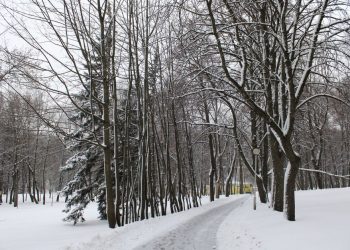 Привітання Степану з іменинами 9 січня 2026: 40 варіантів