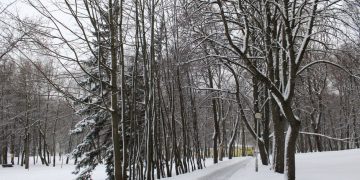 Привітання Степану з іменинами 9 січня 2026: 40 варіантів