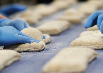 Як правильне обладнання змінює роботу бізнесу в харчовому сегменті