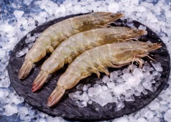 Креветки для домашней кухни: какие виды стоит попробовать
