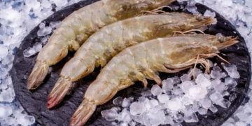 Креветки для домашней кухни: какие виды стоит попробовать