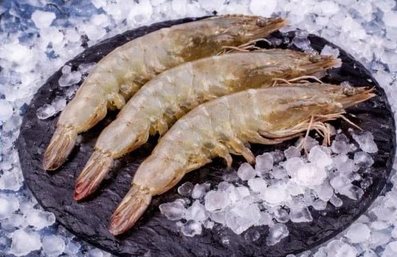Креветки для домашней кухни: какие виды стоит попробовать